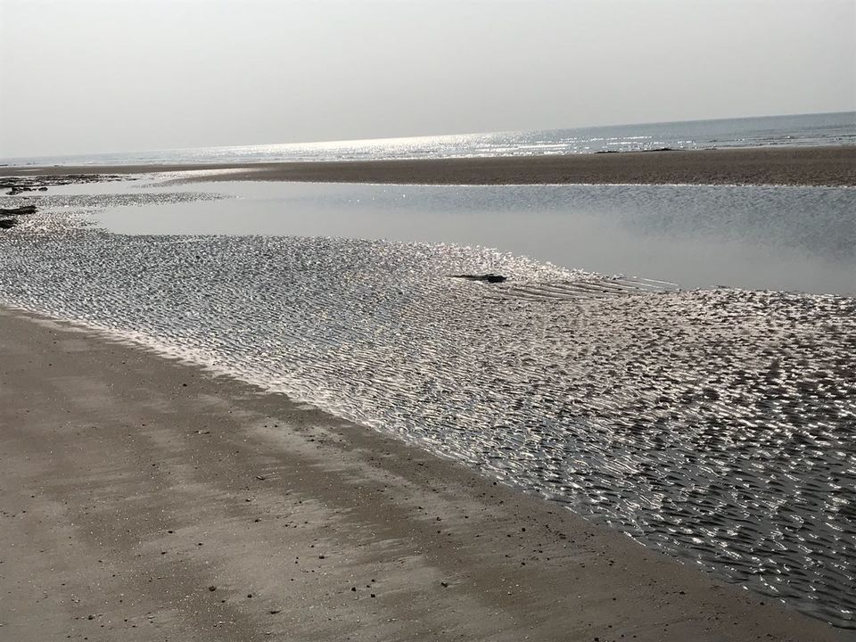 Photo of This Secluded Resort Located 150km From Rann of Kutch is Straight out of a Fairytale by Vipul Khattar