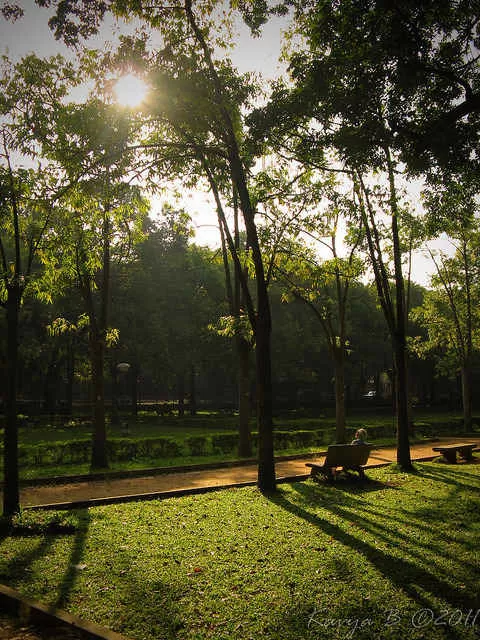 Photo of Cubbon Park, Sampangi Rama Nagara, Bengaluru, Karnataka, India by Fatema Diwan