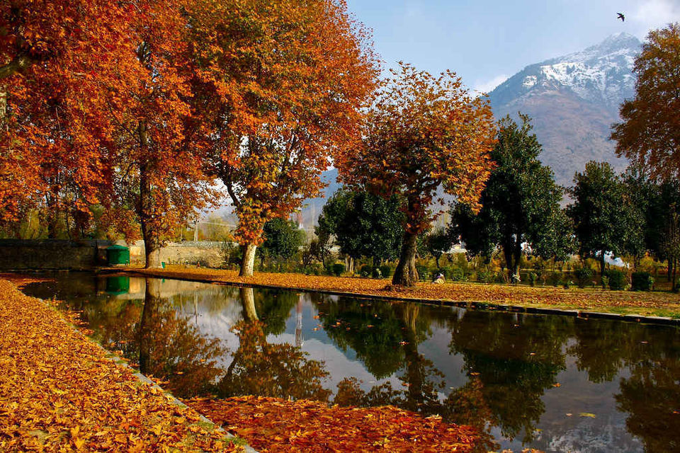Photo of I Re-lived My Childhood As I Followed My Mother's Journal To Travel To Kashmir With My Husband by Neeti Chopra