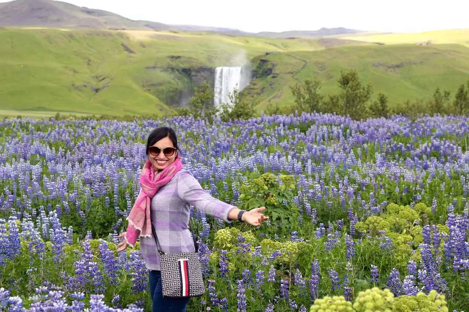 Photo of Höfn, Iceland by Shalbha Sarda
