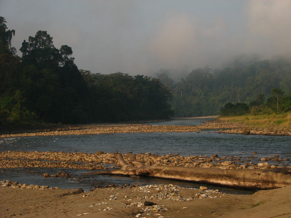 Photo of A Day With The Secret Carpet-Weavers Of Miao (Arunachal Pradesh) 1/2 by Adete Dahiya