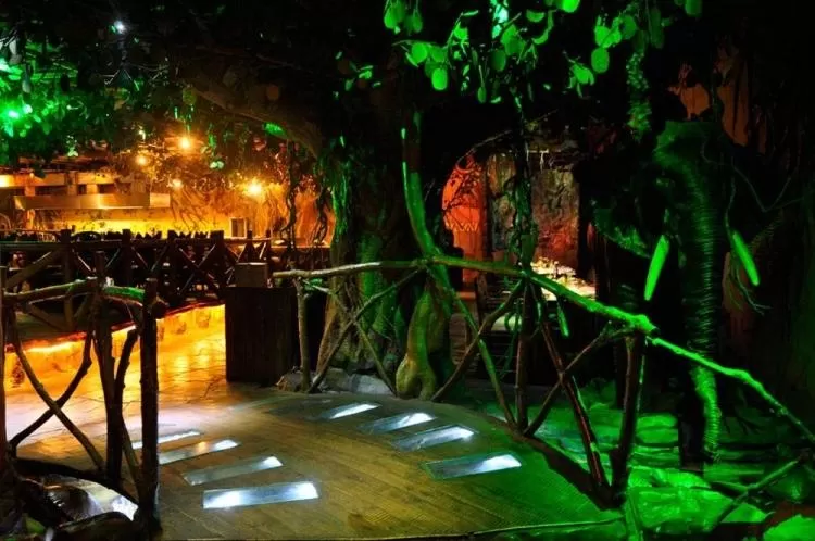 Photo of Machaan Restaurant, Phool Bagan, Kolkata, West Bengal, India by Adete Dahiya