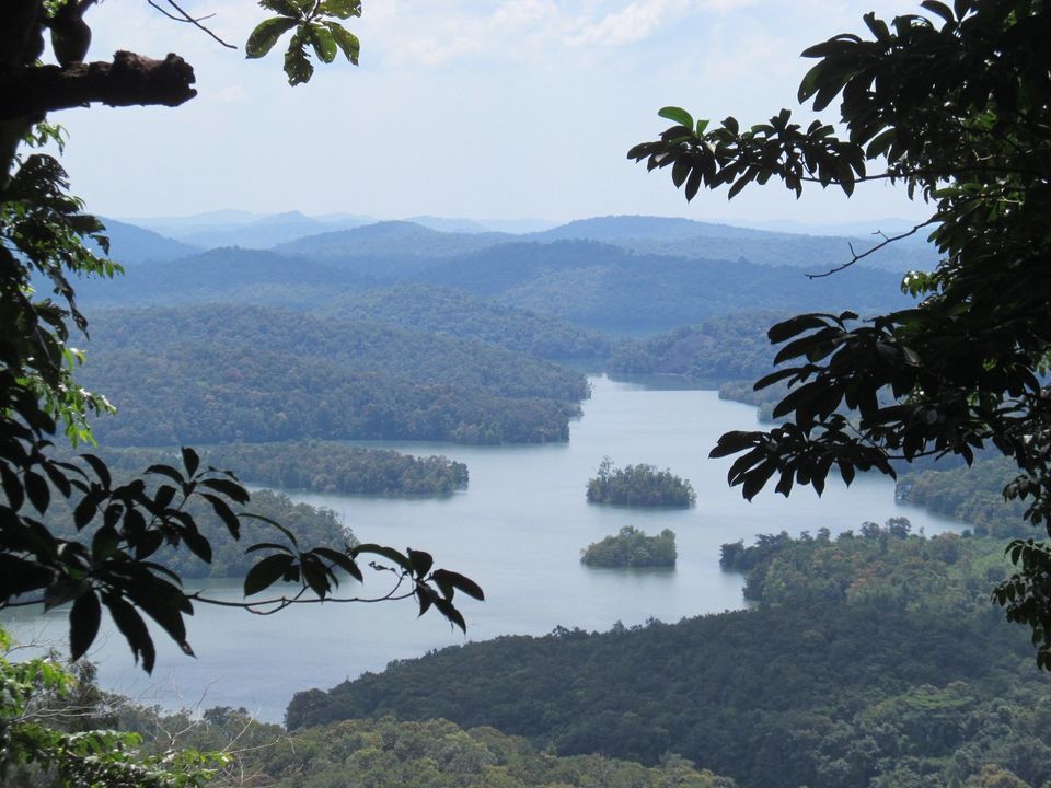 Photo of First Woman In History Starts Trek To Male-Only Agasthyakoodam peak In Kerala 1/2 by Adete Dahiya