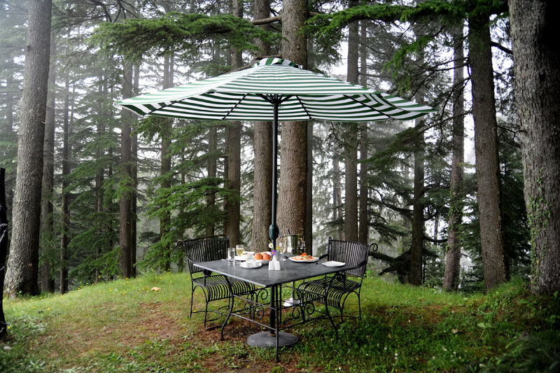 Photo of Luxury Escapes: This Resort in Dalhousie Is the Answer to All Your Long-Weekend Plans by Adete Dahiya