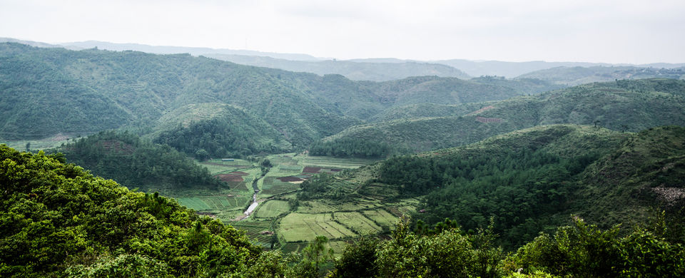 Photo of Mawphlang Sacred Grove, Mawsynram-Shillong Road, Synrang Kaban, Meghalaya, India by Adete Dahiya