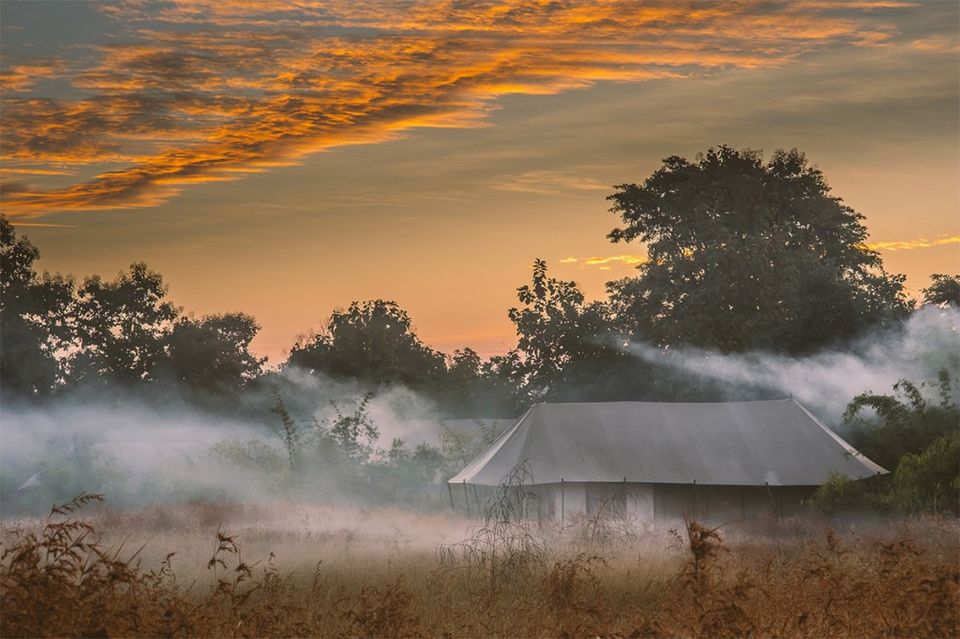 Photo of Sleep under the stars in the middle of the jungle at this luxury tent resort in Pench by Adete Dahiya