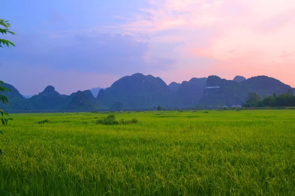 Photo of SY's homestay, Sơn Trạch, Quang Binh Province, Vietnam by Adete Dahiya
