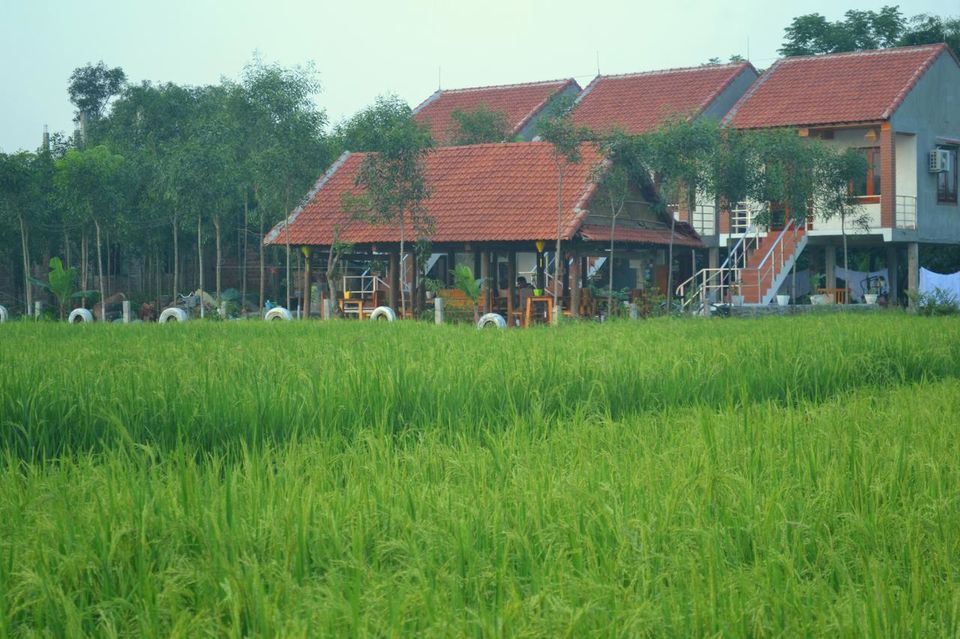 Photo of Explore Vietnam Like A Local With This Beautiful Homestay In Phong Nha by Adete Dahiya
