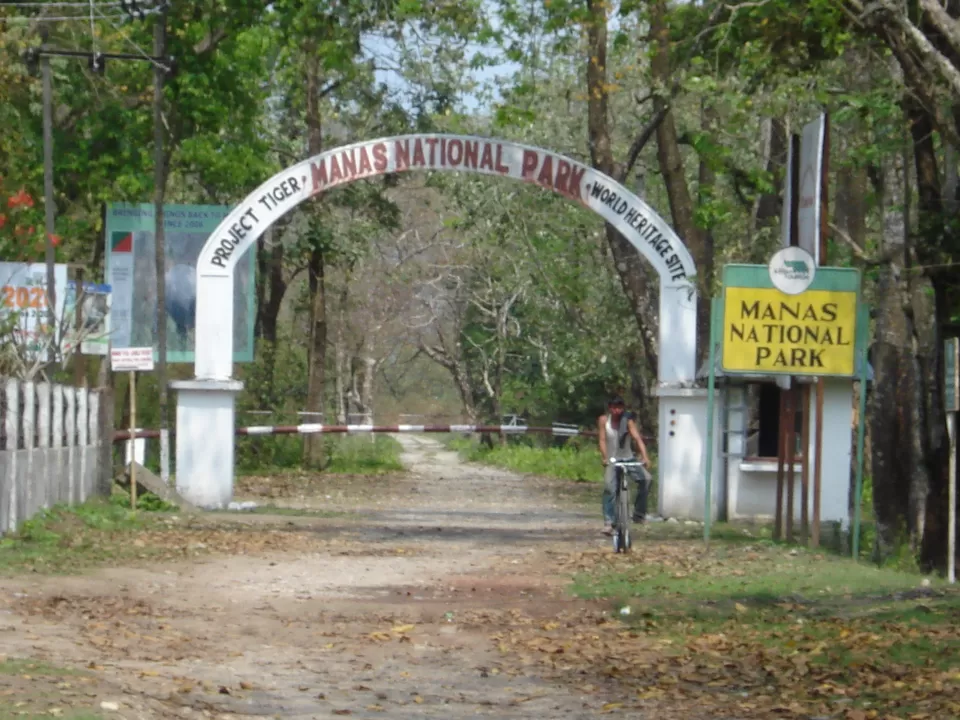 Photo of Manas National Park, Assam, India by Adete Dahiya