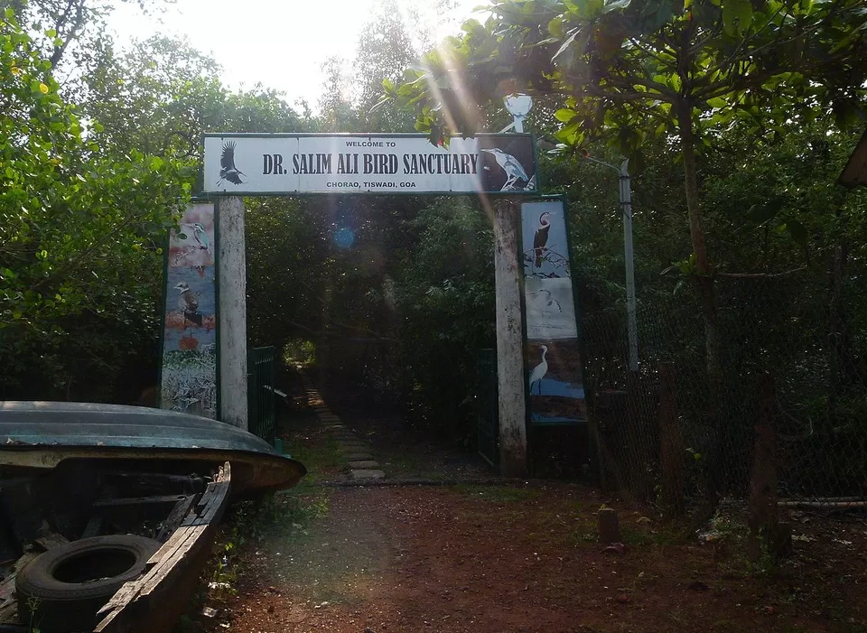 Photo of Salim Ali Bird Sanctuary, Ribandar, Goa, India by Adete Dahiya