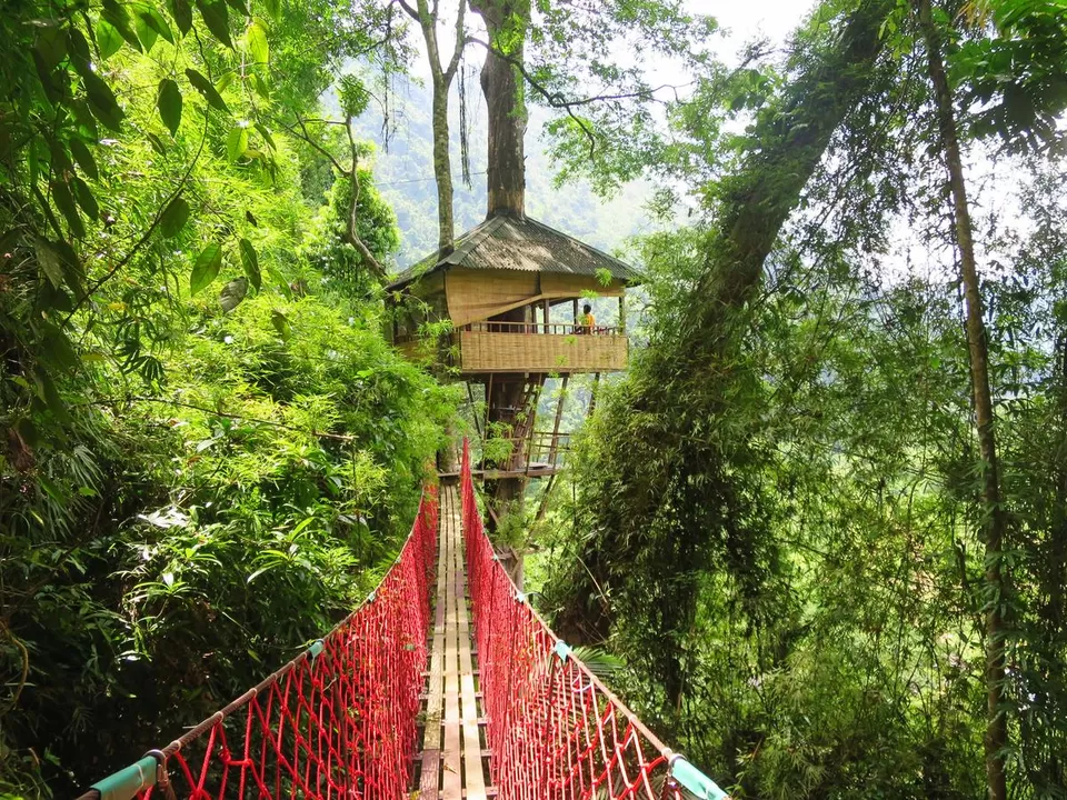 Photo of Elephant Adventure Village Tree House, Vientiane Province, Laos by Adete Dahiya