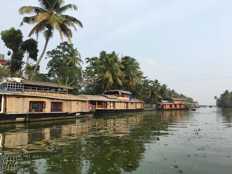 Photo of Cocola Palm, Munnodi Temple Road, Padinjare Kurisadi, Kanjiramchira, Alappuzha, India by Adete Dahiya