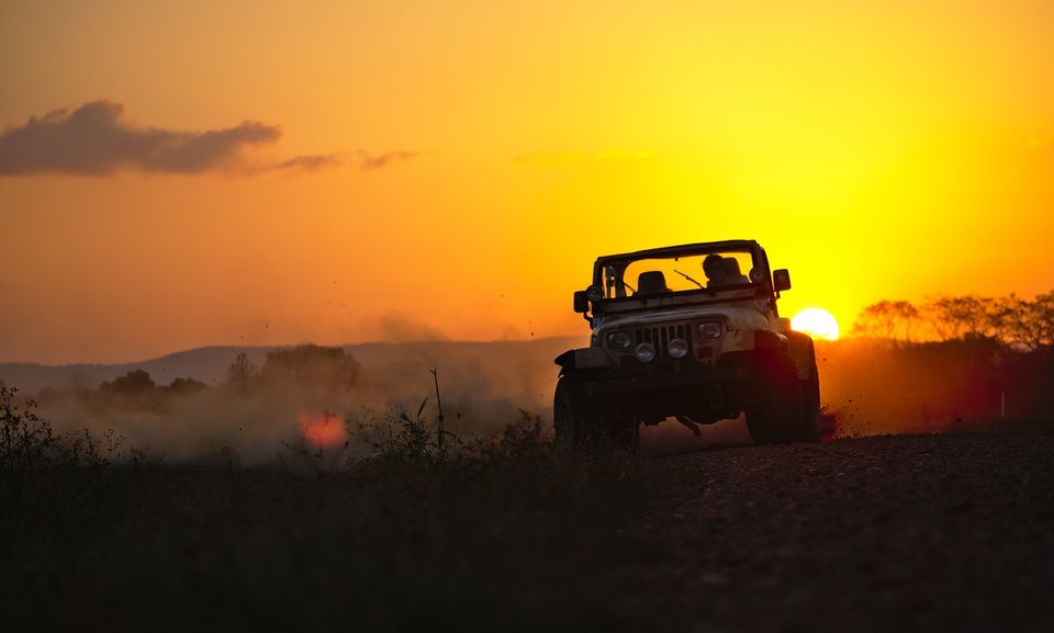 Photo of Two Boys, One Car And A Wild Road Trip Chasing Tigers by Siddharth Sujan