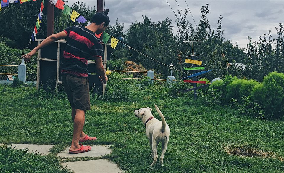Photo of 6km From Manali's Madding Crowd, This Hostel Is The Perfect Escape From Delhi 1/1 by Adete Dahiya