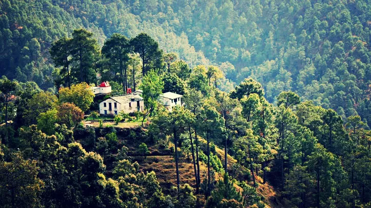 Photo of Binsar, Uttarakhand, India by Adete Dahiya