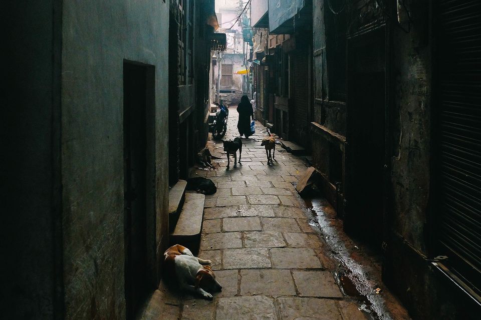Photo of Varanasi Has A Serious Garbage Problem And It’s Time We Dealt With It 2/6 by Adete Dahiya