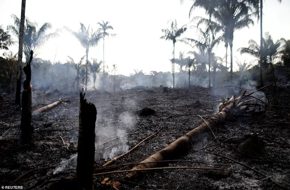 Photo of Amazon Rainforests Are Burning & The Destruction Can Be Seen From Space! by Adete Dahiya