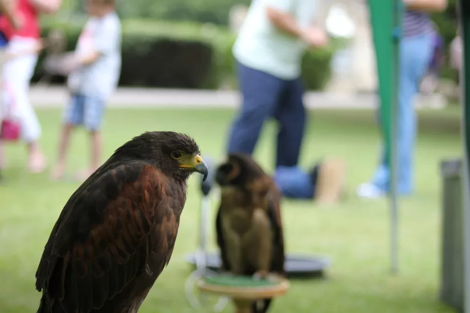 Photo of Museum Gardens, Museum Street, York, York YO1 7FR, United Kingdom by Tamalika Ghosh De