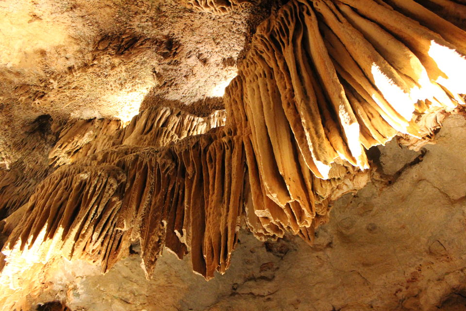 Photo of Bridal Cave Missouri by Tamalika Ghosh De