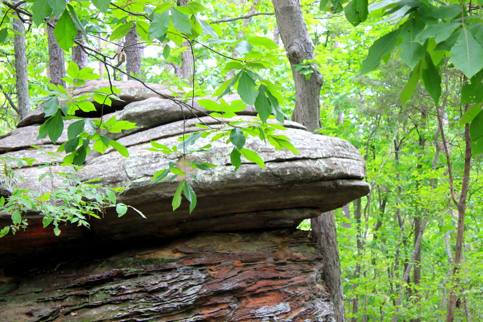 Photo of Garden of Gods, Illinois 3/9 by Tamalika Ghosh De