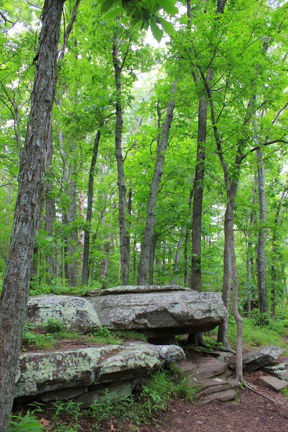 Photo of Garden of Gods, Illinois 9/9 by Tamalika Ghosh De