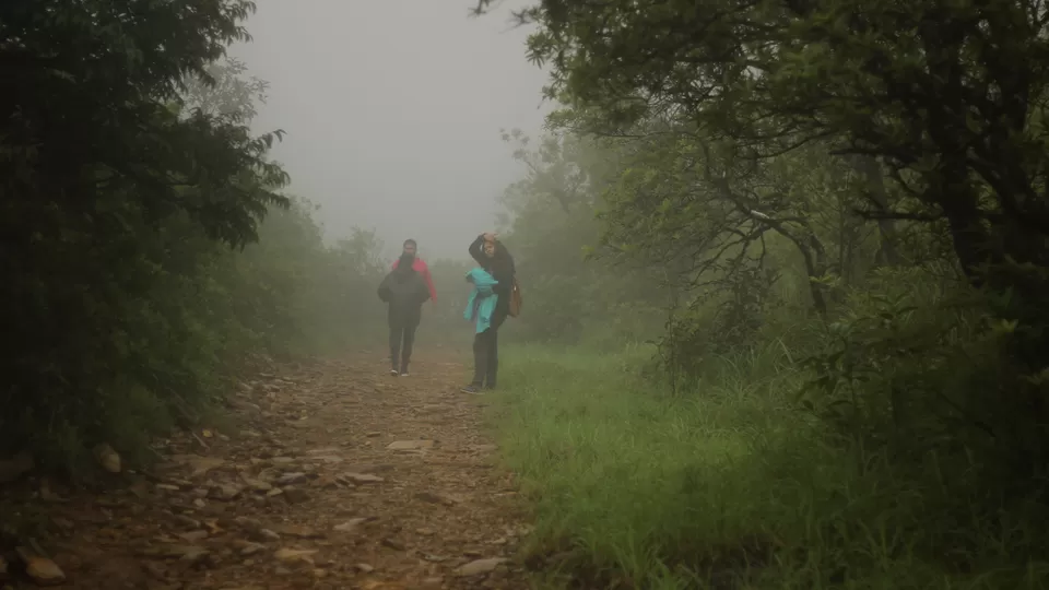 Photo of Kurinjal Peak, Kudremukh Range, Nooralbettu, Karnataka, India by Subithraj N K