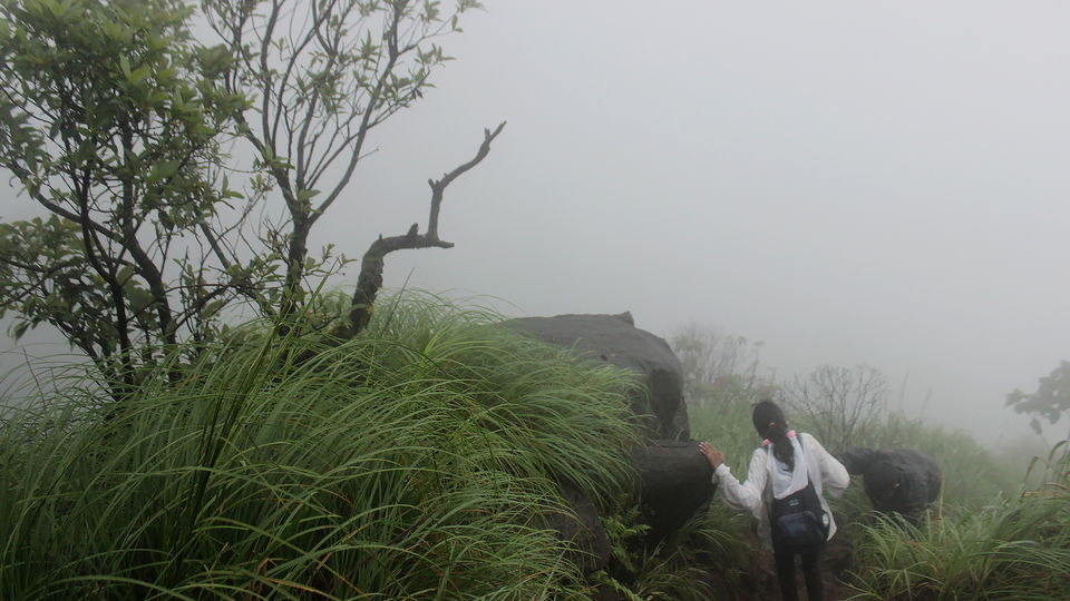 Photo of Kurinjal Peak, Kudremukh Range, Nooralbettu, Karnataka, India by Subithraj N K