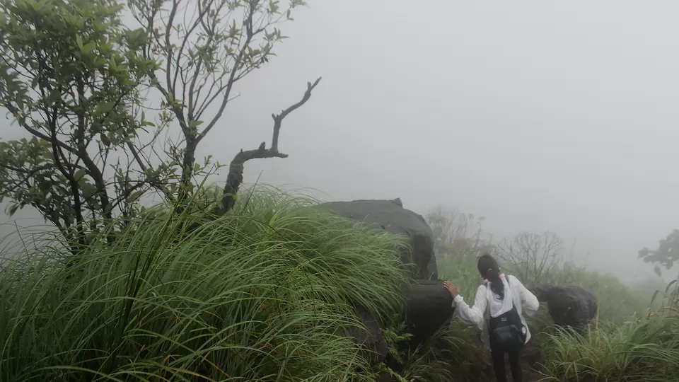 Photo of Kurinjal Peak, Kudremukh Range, Nooralbettu, Karnataka, India by Subithraj N K