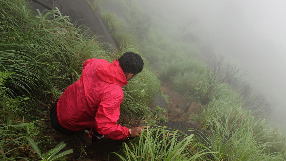 Photo of Kurinjal Peak, Kudremukh Range, Nooralbettu, Karnataka, India by Subithraj N K