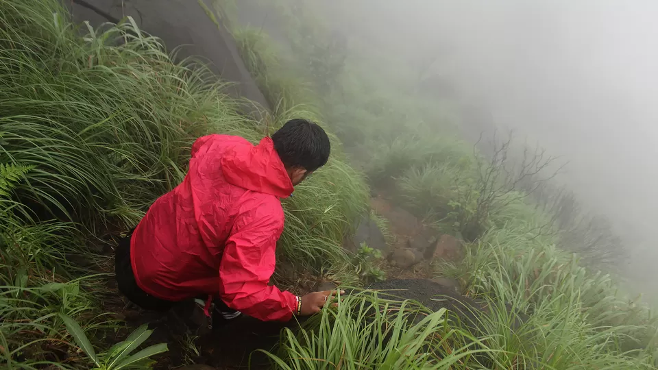 Photo of Kurinjal Peak, Kudremukh Range, Nooralbettu, Karnataka, India by Subithraj N K