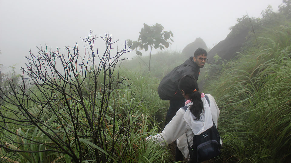 Photo of Kurinjal Peak, Kudremukh Range, Nooralbettu, Karnataka, India by Subithraj N K