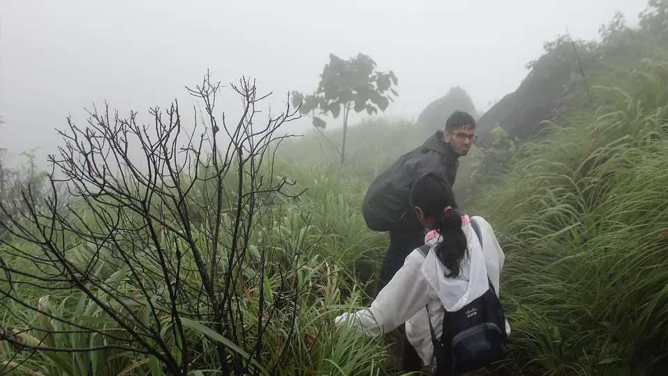 Photo of Kurinjal Peak, Kudremukh Range, Nooralbettu, Karnataka, India by Subithraj N K