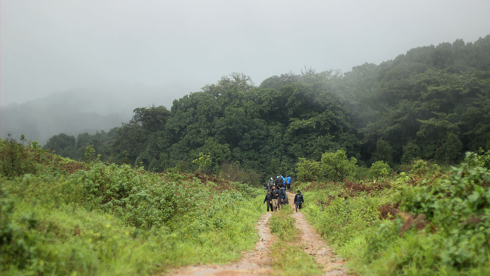 Photo of Kurinjal Peak, Kudremukh Range, Nooralbettu, Karnataka, India by Subithraj N K
