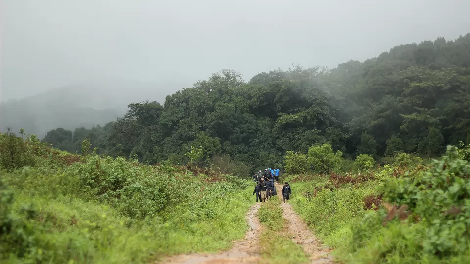 Photo of Kurinjal Peak, Kudremukh Range, Nooralbettu, Karnataka, India by Subithraj N K