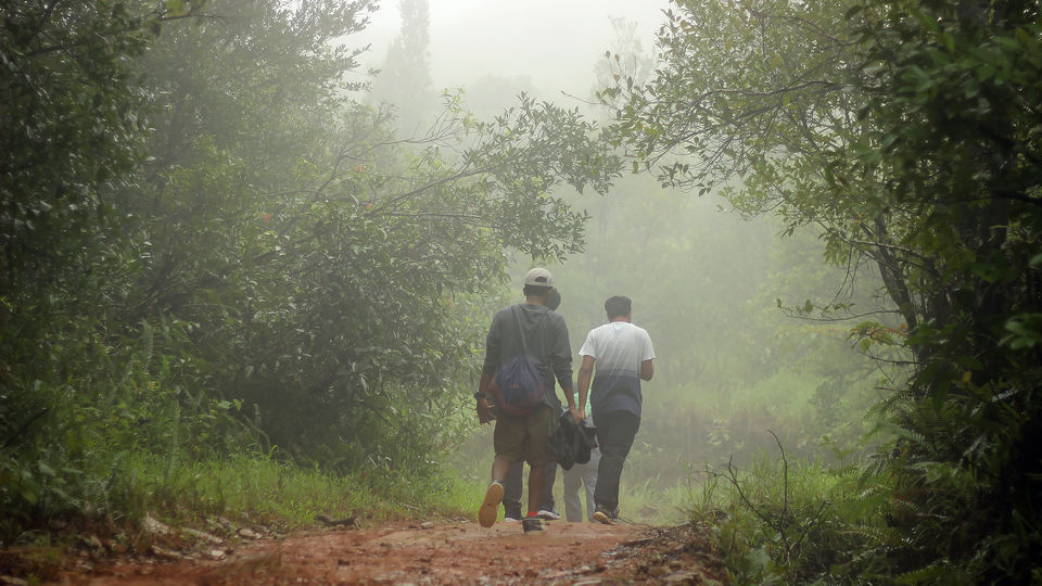Photo of Kurinjal Peak, Kudremukh Range, Nooralbettu, Karnataka, India by Subithraj N K