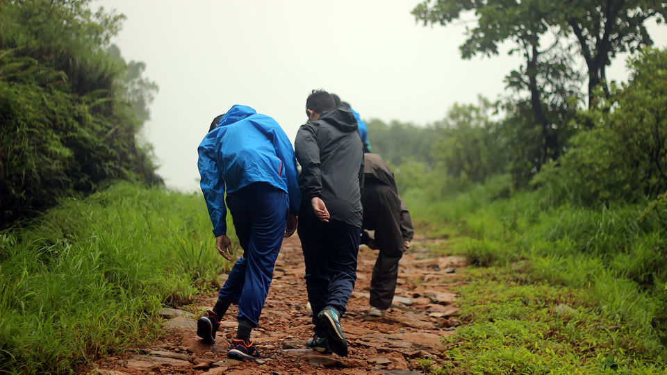 Photo of Kurinjal Peak, Kudremukh Range, Nooralbettu, Karnataka, India by Subithraj N K