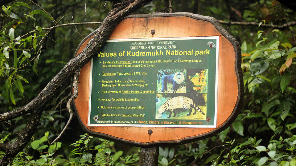Photo of Kurinjal Peak, Kudremukh Range, Nooralbettu, Karnataka, India by Subithraj N K