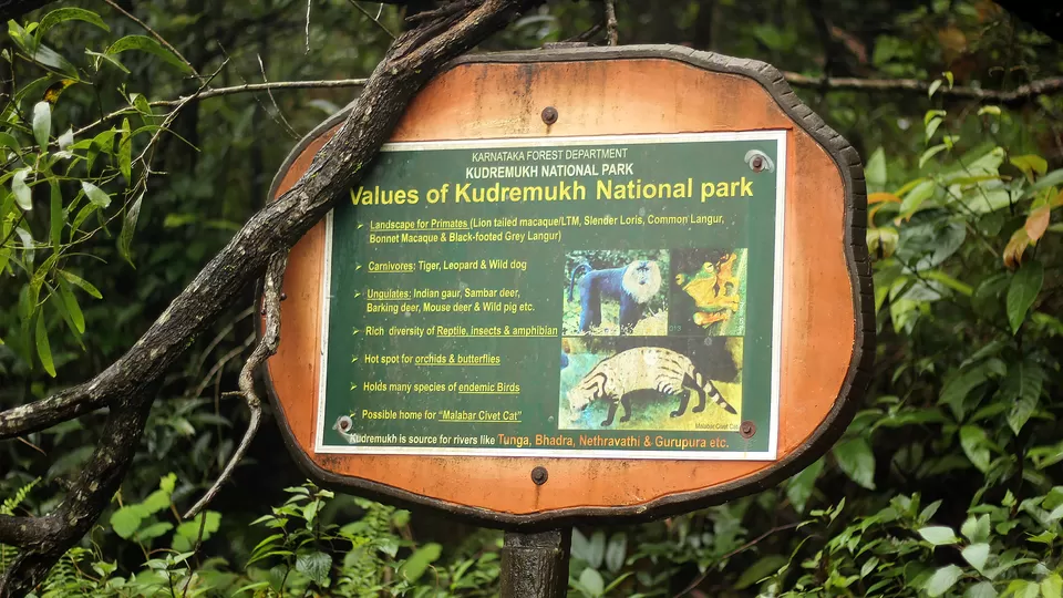 Photo of Kurinjal Peak, Kudremukh Range, Nooralbettu, Karnataka, India by Subithraj N K