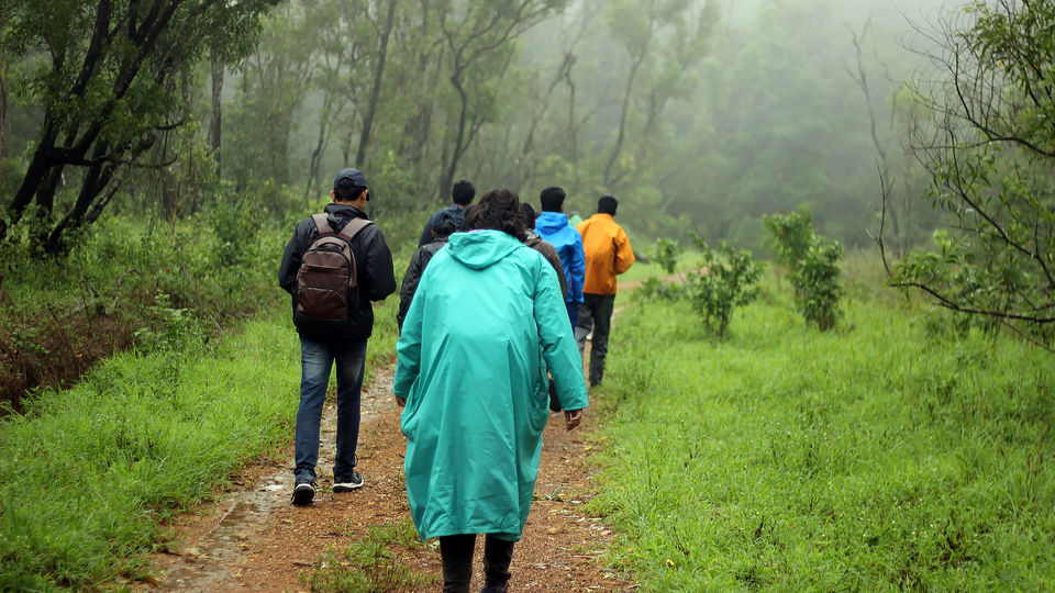 Photo of Kurinjal Peak, Kudremukh Range, Nooralbettu, Karnataka, India by Subithraj N K