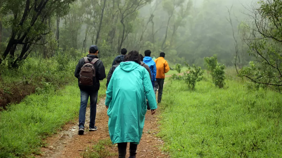 Photo of Kurinjal Peak, Kudremukh Range, Nooralbettu, Karnataka, India by Subithraj N K