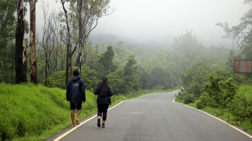Photo of Kurinjal Peak, Kudremukh Range, Nooralbettu, Karnataka, India by Subithraj N K