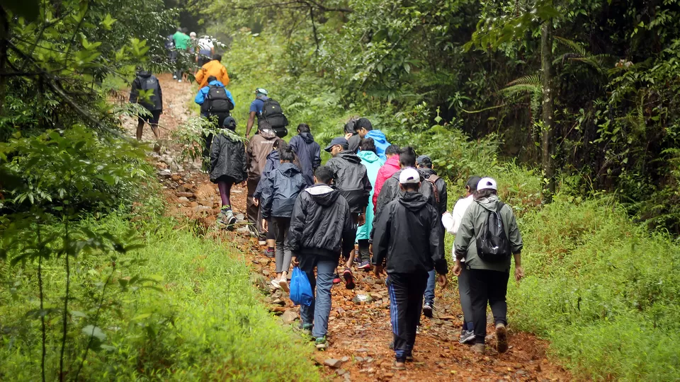 Photo of Kurinjal Peak, Kudremukh Range, Nooralbettu, Karnataka, India by Subithraj N K