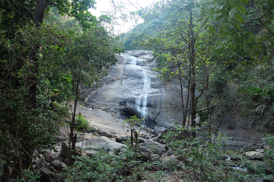 Photo of Thenpara Trekking Thusharagiri_ (Honey Rock Trekking)kozhikode 1/62 by Subithraj N K