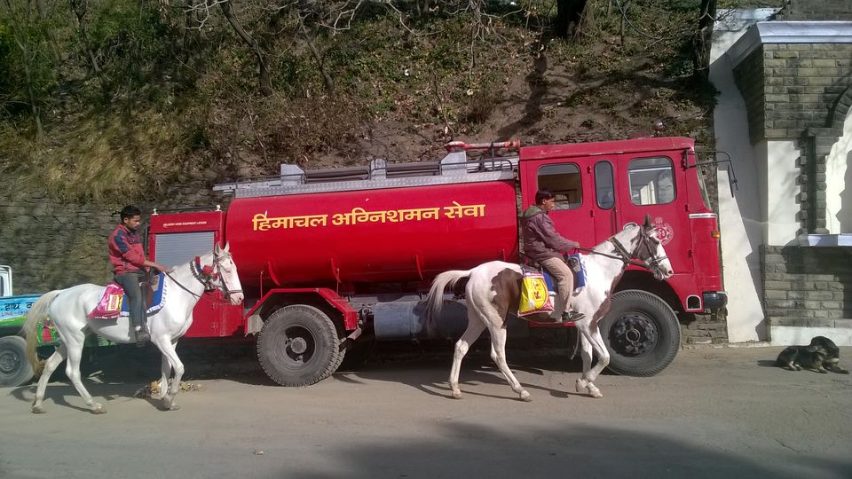 Photo of Shimla at 31st Dec'15 and 1st Jan'16 28/30 by PiyushRanjan007