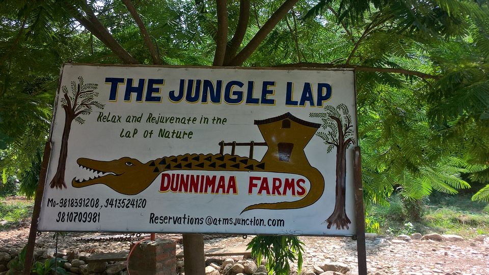 Photo of Team Outing at The Jungle Lap, Sariska 1/17 by PiyushRanjan007