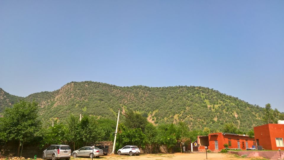 Photo of Team Outing at The Jungle Lap, Sariska 5/17 by PiyushRanjan007