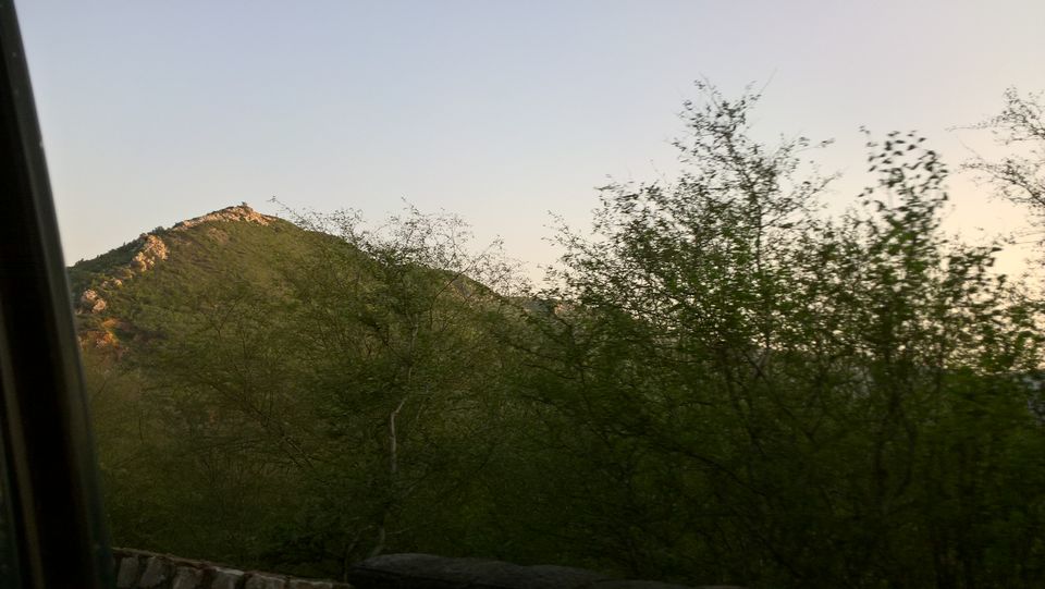 Photo of Team Outing at The Jungle Lap, Sariska 9/17 by PiyushRanjan007