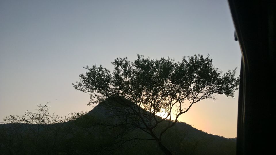 Photo of Team Outing at The Jungle Lap, Sariska 10/17 by PiyushRanjan007