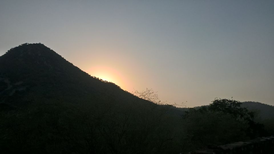 Photo of Team Outing at The Jungle Lap, Sariska 11/17 by PiyushRanjan007