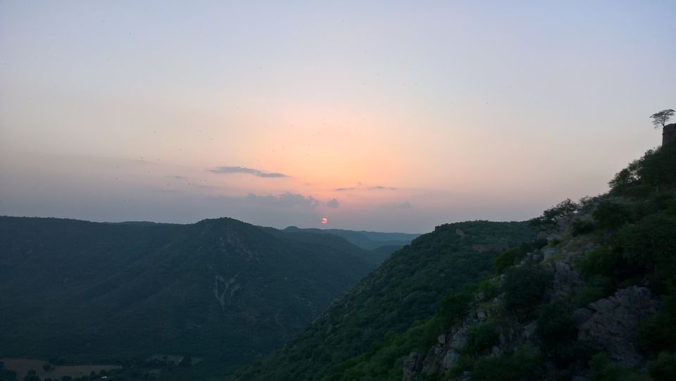 Photo of Team Outing at The Jungle Lap, Sariska 12/17 by PiyushRanjan007